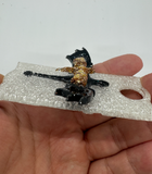 Dragon Stanley Toppers- Book Tok