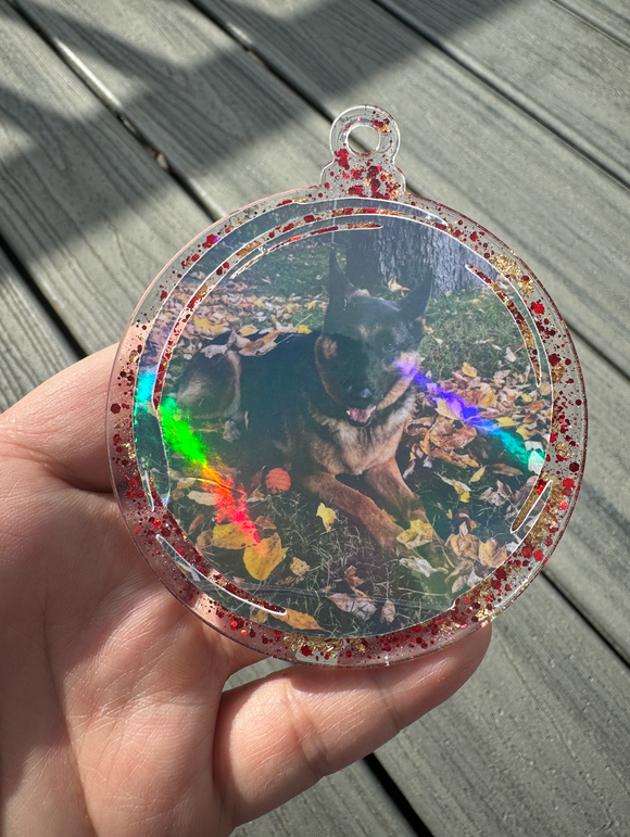 Acrylic Ornament