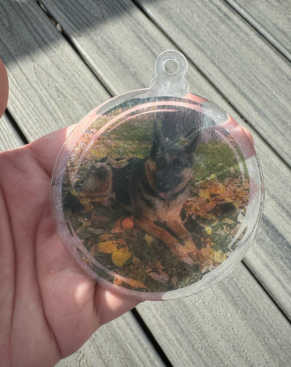 Acrylic Ornament Transparent