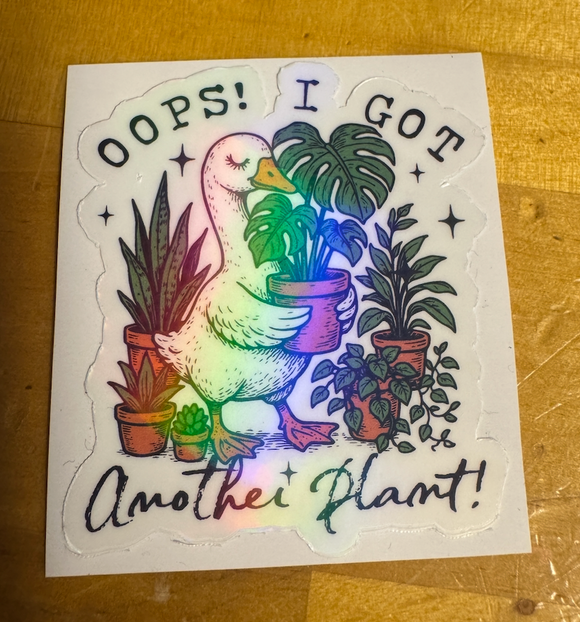 Oops another plant